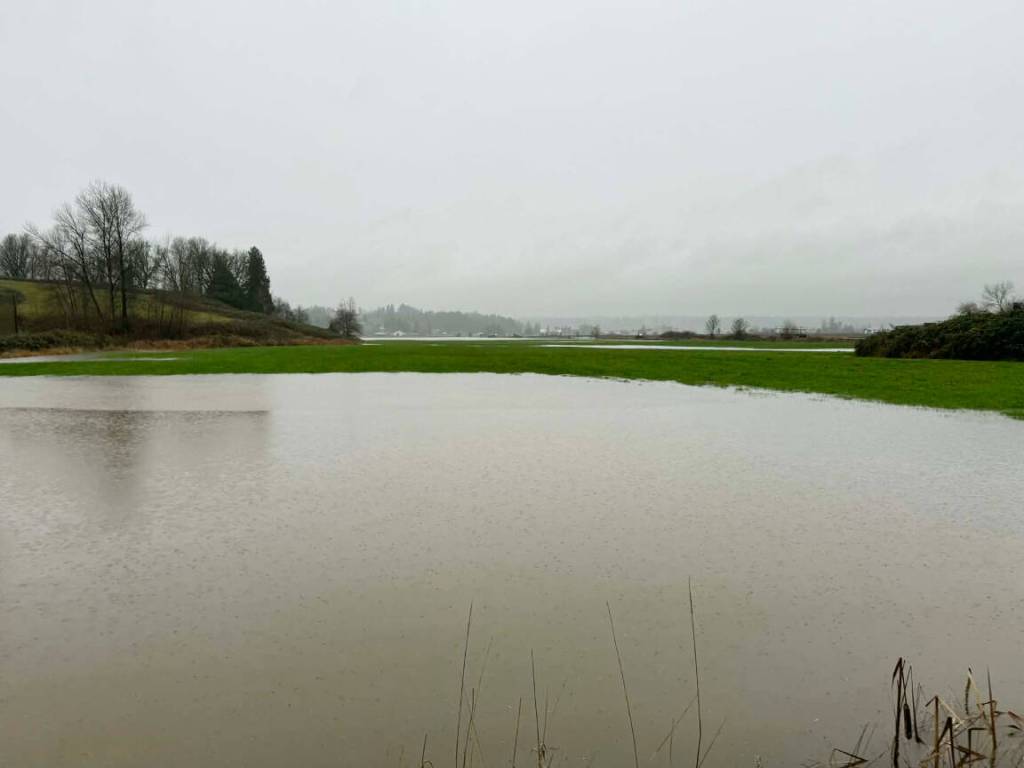 Localized flooding off Gladwin Road in Abbotsford on Wednesday (Dec. 10). /Dillon White Photo
