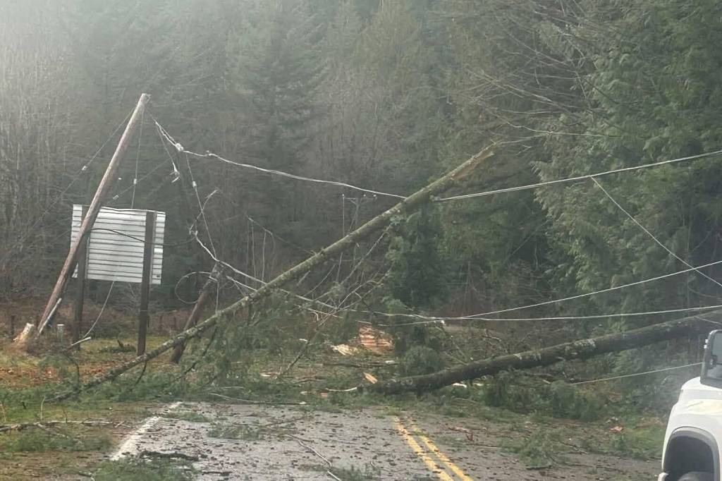 Power out, road closed during windstorm in Harrison Mills
