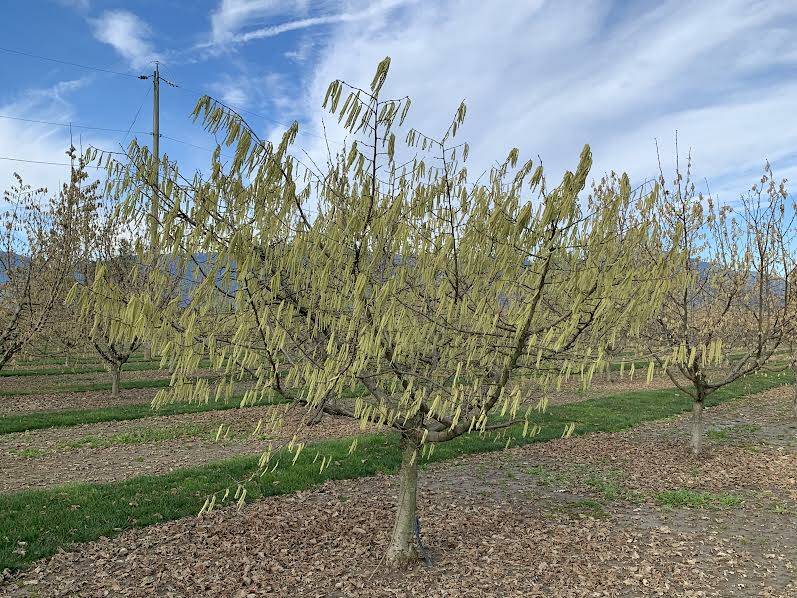 Community Camera: Everything’s coming up nuts