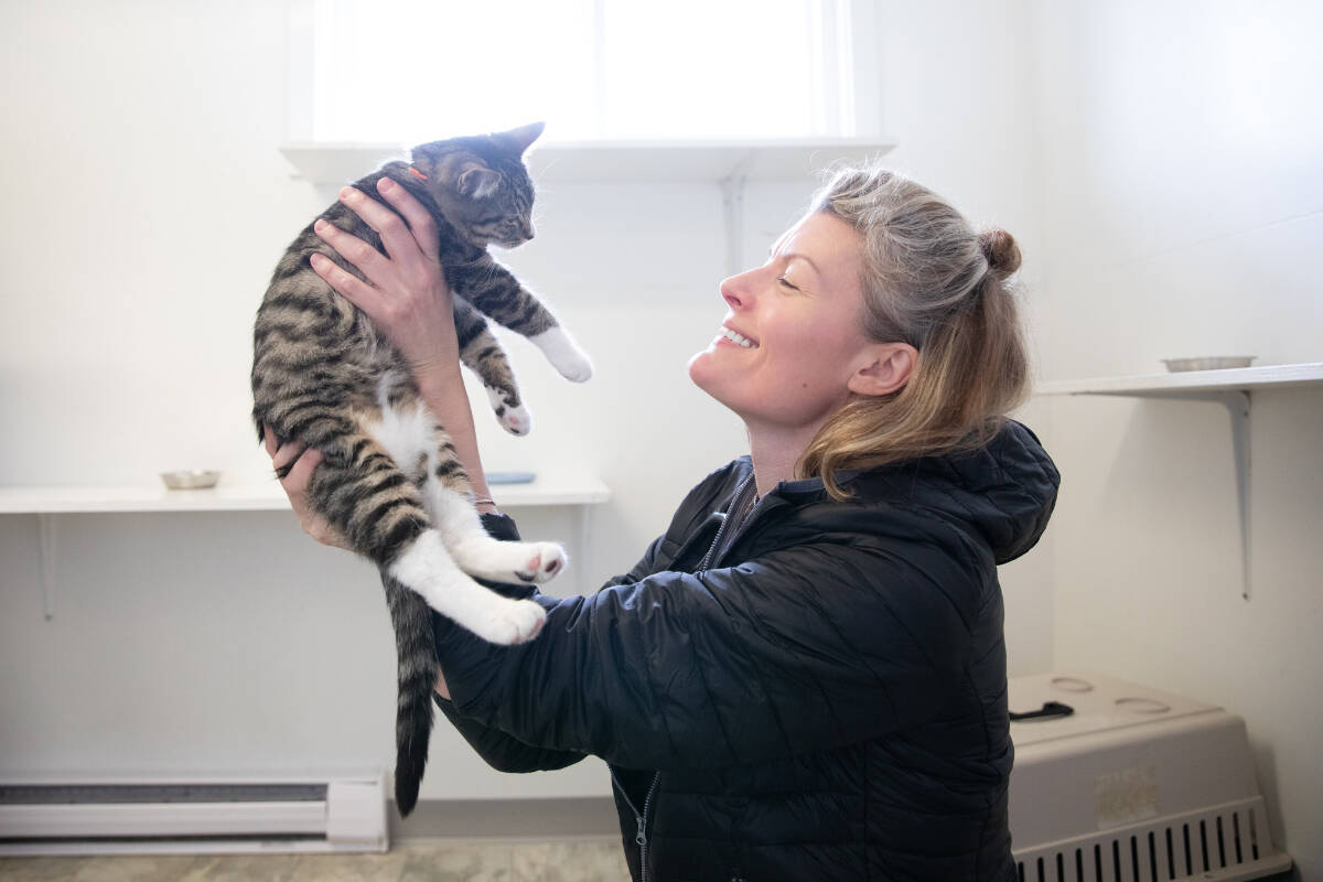 Chilliwack cat welfare non - profit undergoing  transition , says revamped board