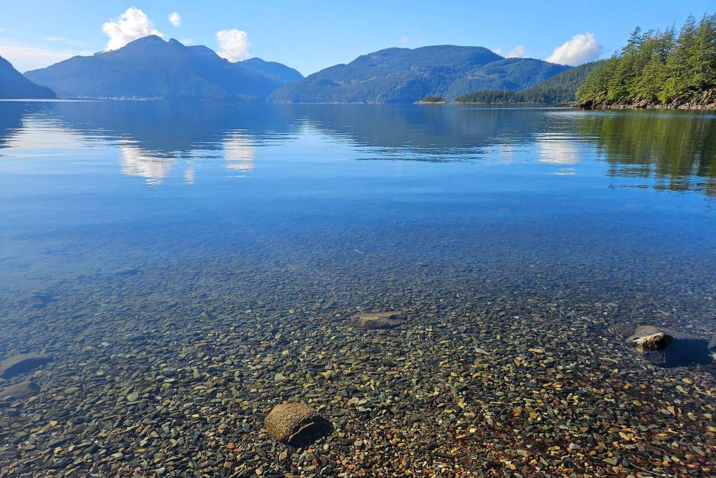 Community Camera: Clear water, clear mind